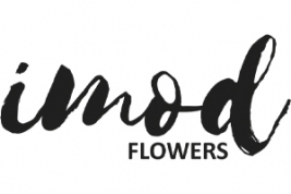 IMOD Flowers