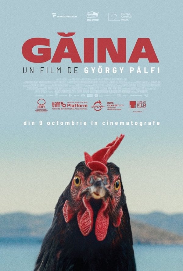 Găina