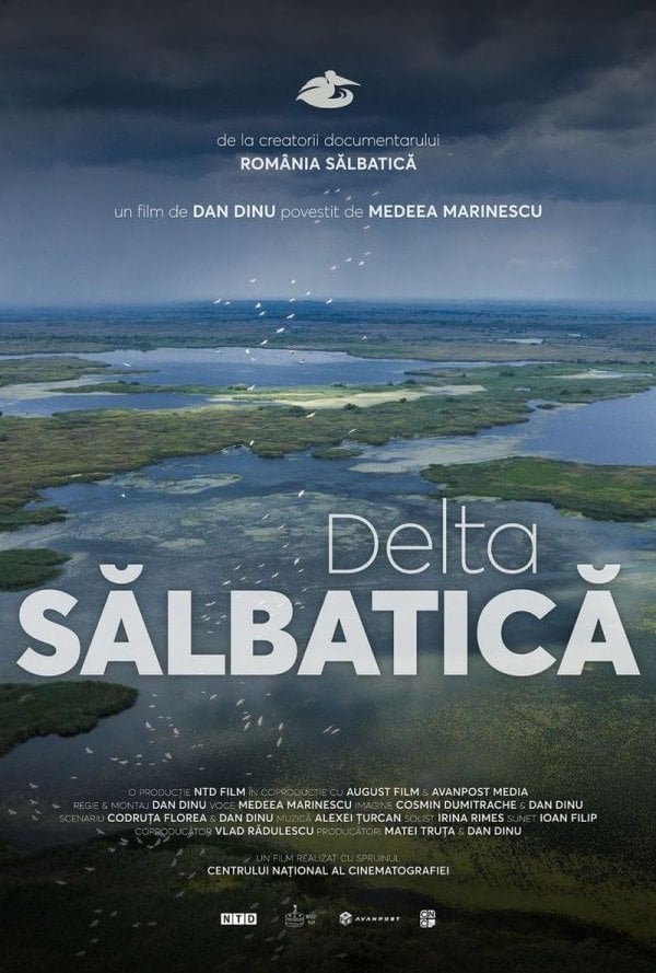 Delta salbatica